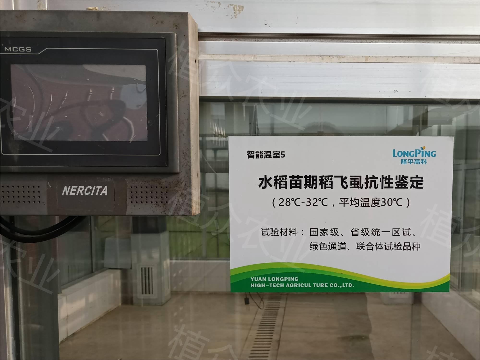 水稻稻飞虱抗性鉴定人工气候室