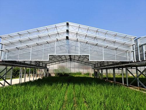 新质生产力的内涵特征和发展重点